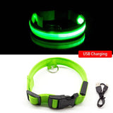 USB Rechargeable LED Dog Collar - GoShopsy